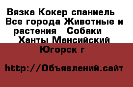 Вязка Кокер спаниель - Все города Животные и растения » Собаки   . Ханты-Мансийский,Югорск г.